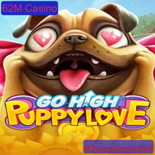 GoHighPuppyLove: A Emoção do Jogo com um Toque Especial de 62M Casino